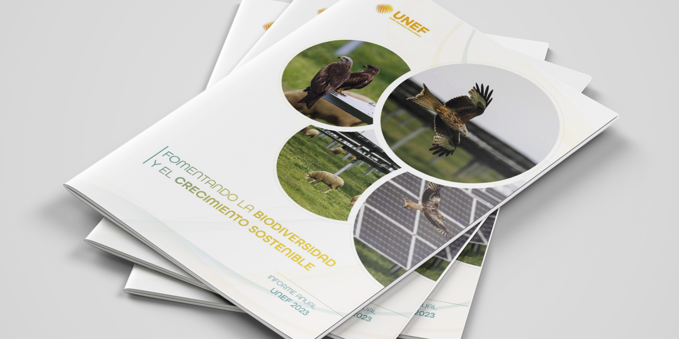 Promoval_Electric_Informe_Anual_UNEF_2022_Web